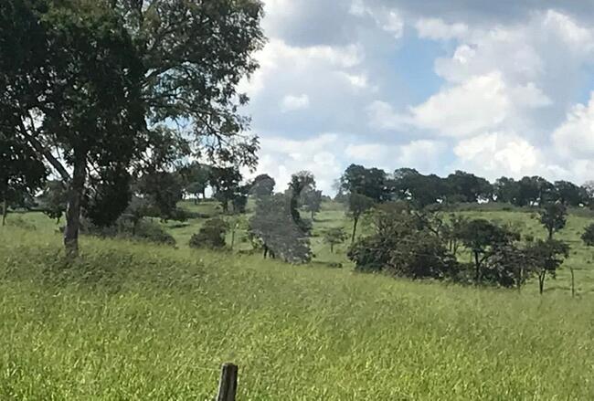 Área De 60,5799 Ha | Denominado Fazenda Santa Bárbara | Augusto De Lima/MG — foto 2