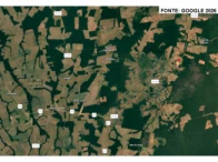 Fazenda Zordan - 244,89 ha - Nova Ubiratã/MT — foto 3