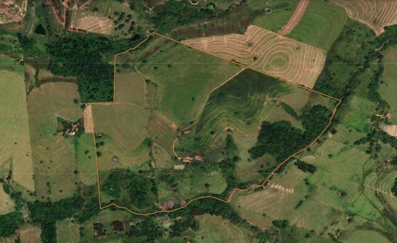 Leilão Judicial: Lote de Terras Rural (75,46 ha) em Santo Anastácio/SP