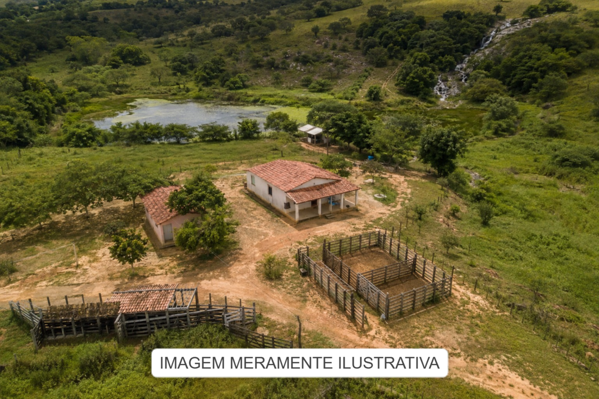 Imóveis Rurais — Lote Nº 01