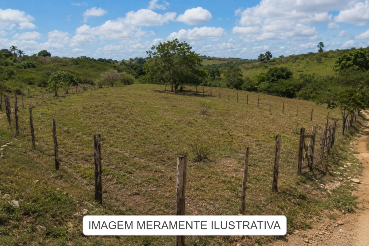 Imóveis Rurais — Lote Nº 02 — foto 2