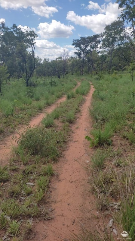 LOTE 001 "FAZENDA SHELL GÁS", com a área de 565,52,22ha localizada em Loreto no Maranhão