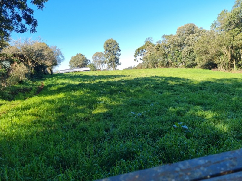 LOTE 001 Imovel