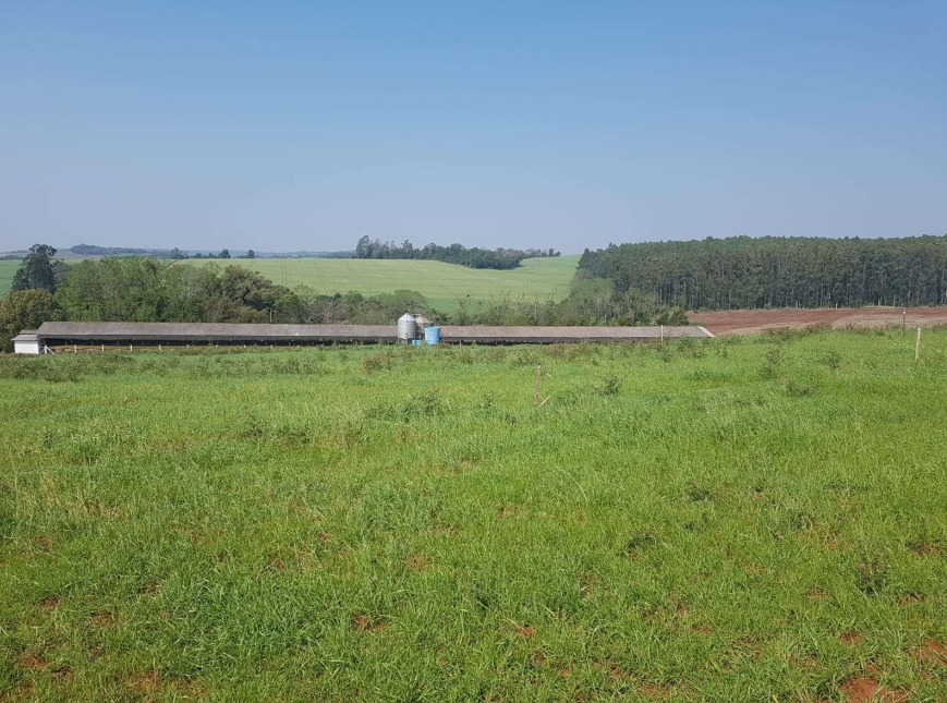 47.000m² — foto 4