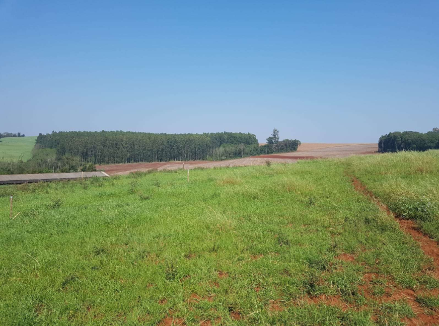 47.000m² — foto 5