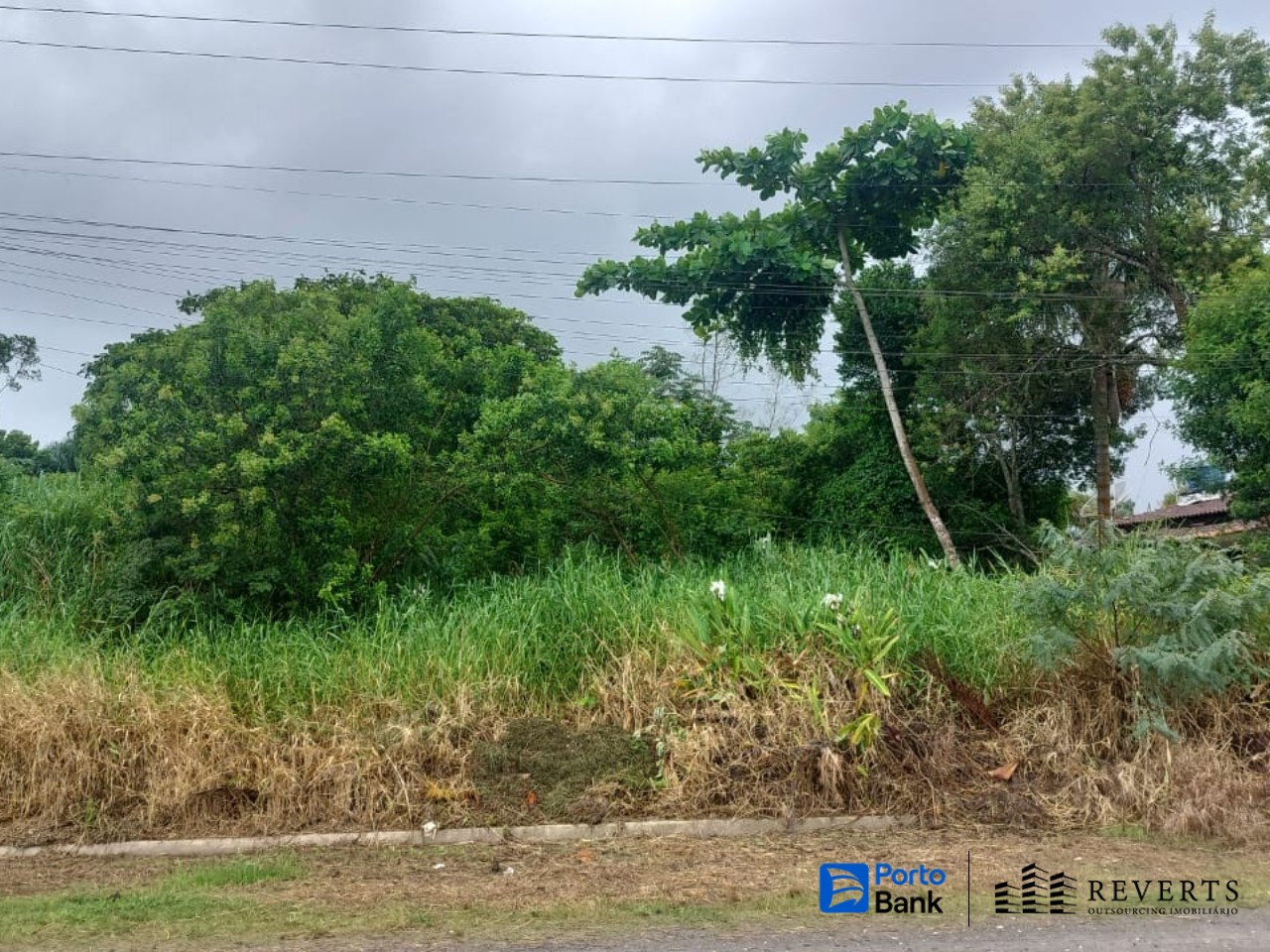 LOTE 30: Terreno com 250,00 m² - Balneário Adriana ILHA COMPRIDA SP — foto 2