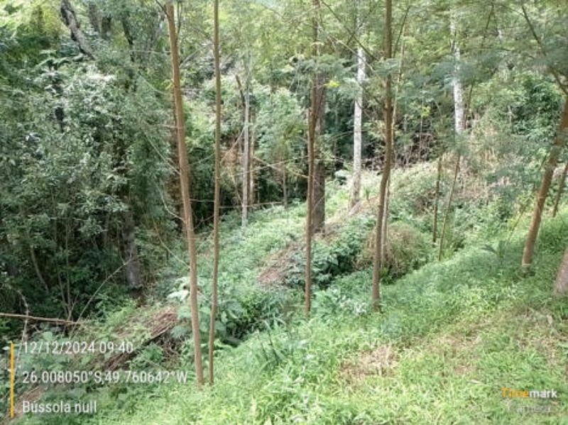 Imóvel Rural em Campo do Tenente — foto 3