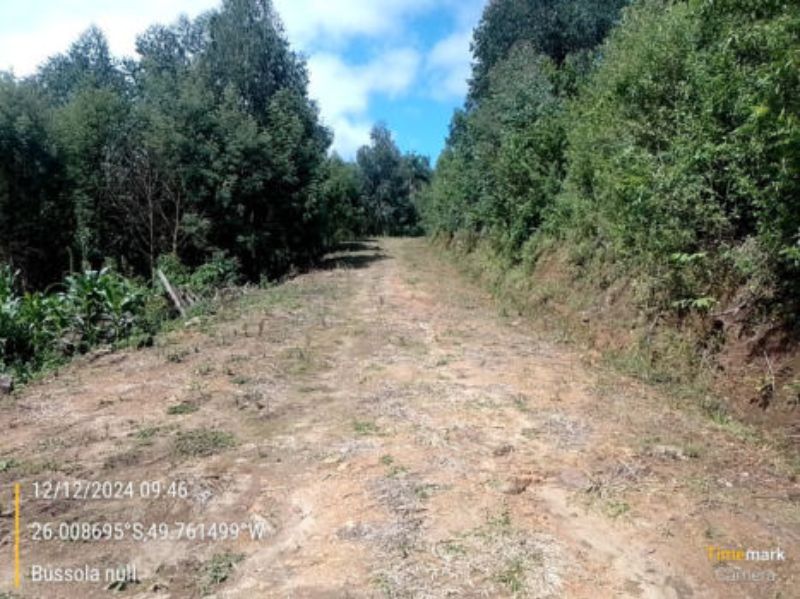 Imóvel Rural em Campo do Tenente — foto 4