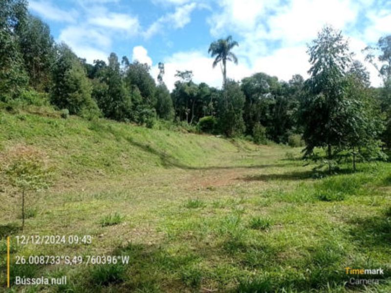 Imóvel Rural em Campo do Tenente — foto 5