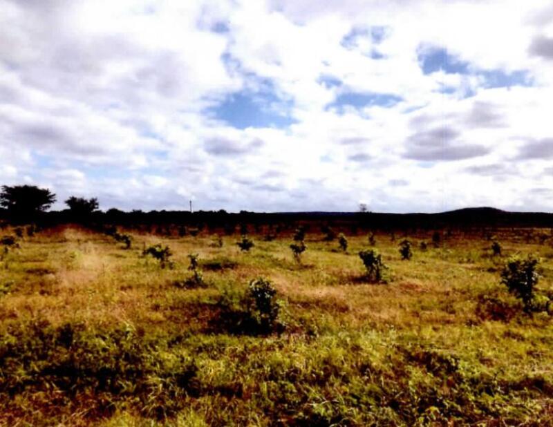 Lote 001 Um Imóvel Rural, “sítio Celina” - com Área de 09,15,12 Hectares em Casa Nova/ba.