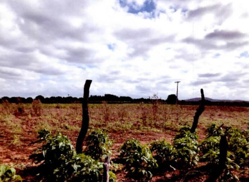 Lote 001 Um Imóvel Rural, “sítio Celina” - com Área de 09,15,12 Hectares em Casa Nova/ba. — foto 2