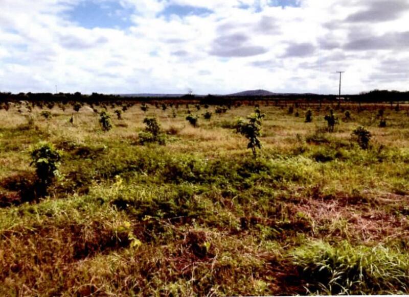 Lote 001 Um Imóvel Rural, “sítio Celina” - com Área de 09,15,12 Hectares em Casa Nova/ba. — foto 3