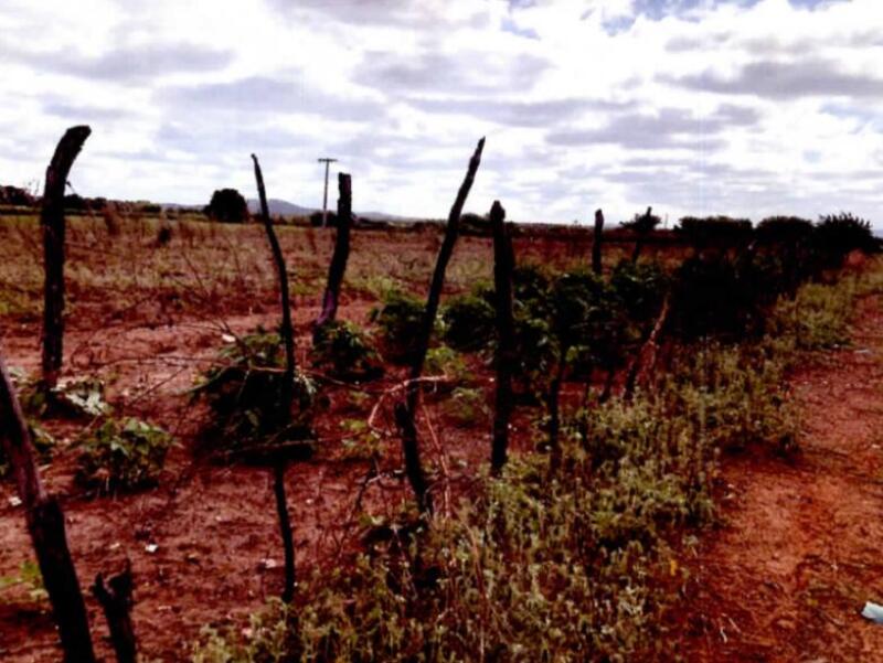 Lote 001 Um Imóvel Rural, “sítio Celina” - com Área de 09,15,12 Hectares em Casa Nova/ba. — foto 5