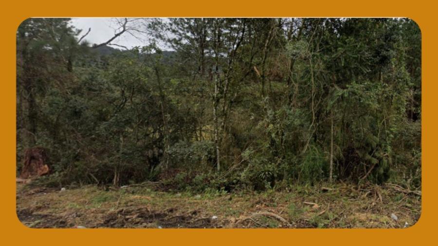 Terreno Rural, Sem Benfeitorias, Denominado Parcela 01, Situado na Fazenda Rio Paleta, Pouso Redondo/sc. com Área de 49,9472 Hectares.