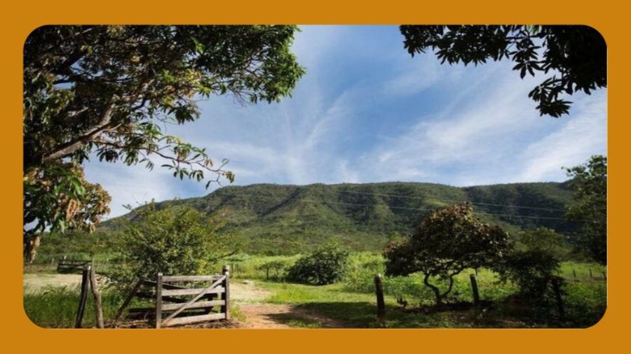 Fazenda Tabatinga, Localizado As Margens da Br-356, Lado Direito no Sentido Campos Cardoso Moreira, com Área Total de 737,2099 Hectares.__
