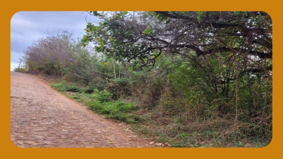 Terreno Próprio para Construção, na Rua Moacir Gondim Lóssio, Muriti, Crato/ce. com Área Total de 2.014m². __