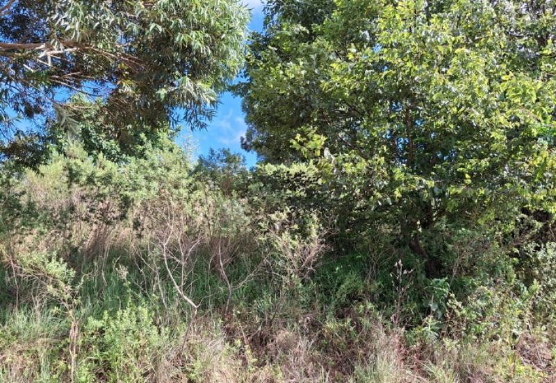Imóvel Campo Ere — foto 3