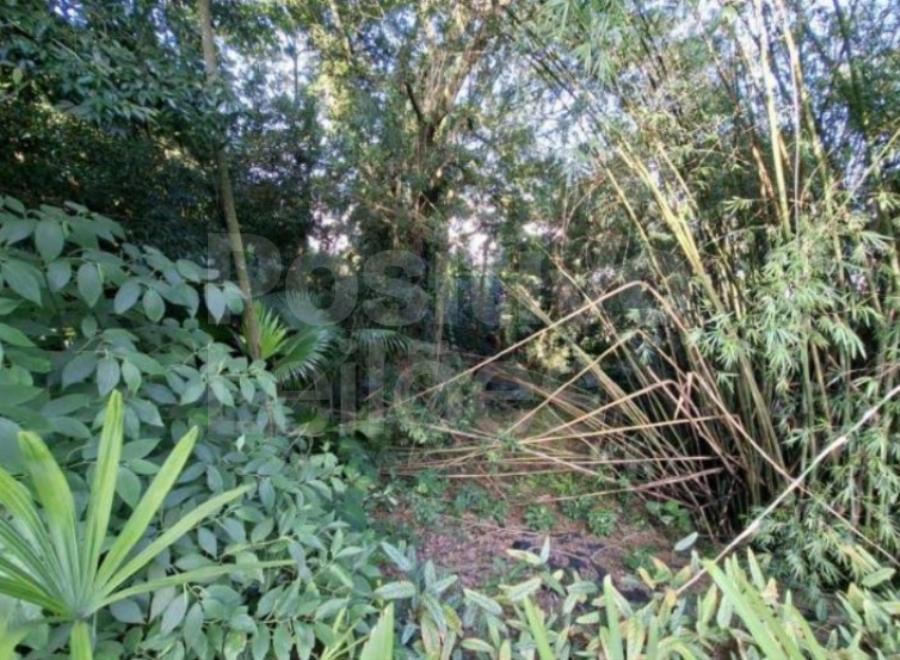 Terreno com A.ú. de 1.967,61m² - Santos/SP — foto 3