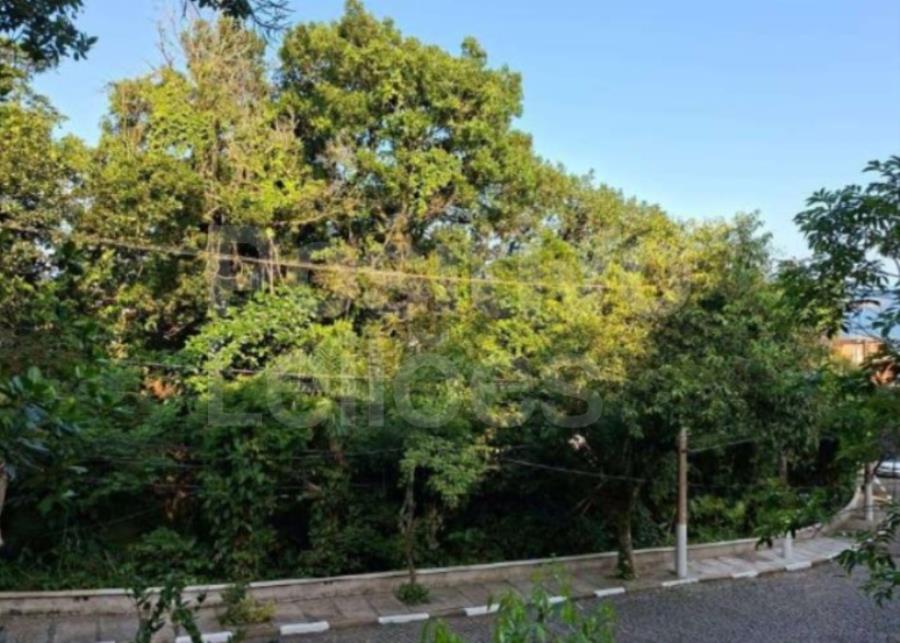 Terreno com A.ú. de 1.967,61m² - Santos/SP — foto 4