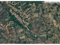 Sítio c/ 68,0476 hectares - Goianorte/TO — foto 2