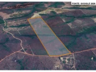 Sítio c/ 68,0476 hectares - Goianorte/TO — foto 4
