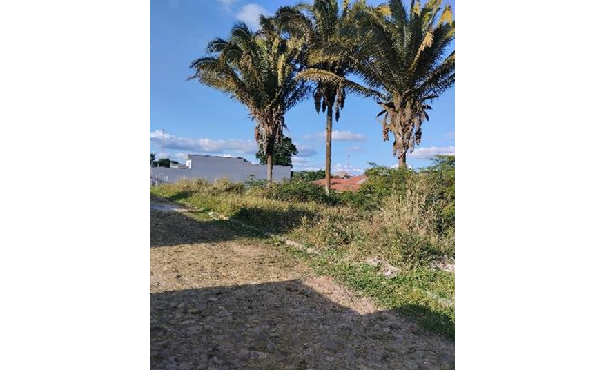LOTE 37: Terreno com 600,00 m² - São João IBIAPINA CE — foto 2