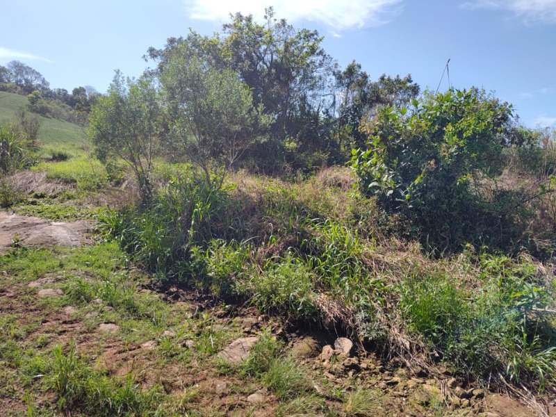 Lote 001-1 Fração de Terras com a Superfície de 22.000,00m², Situada na Linha Barreiro, Município de — foto 2
