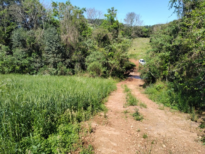 Lote 001-2 Fração de Terras com a Superfície de 27.000,00m², Situado na Linha Barreiro, Município de — foto 3