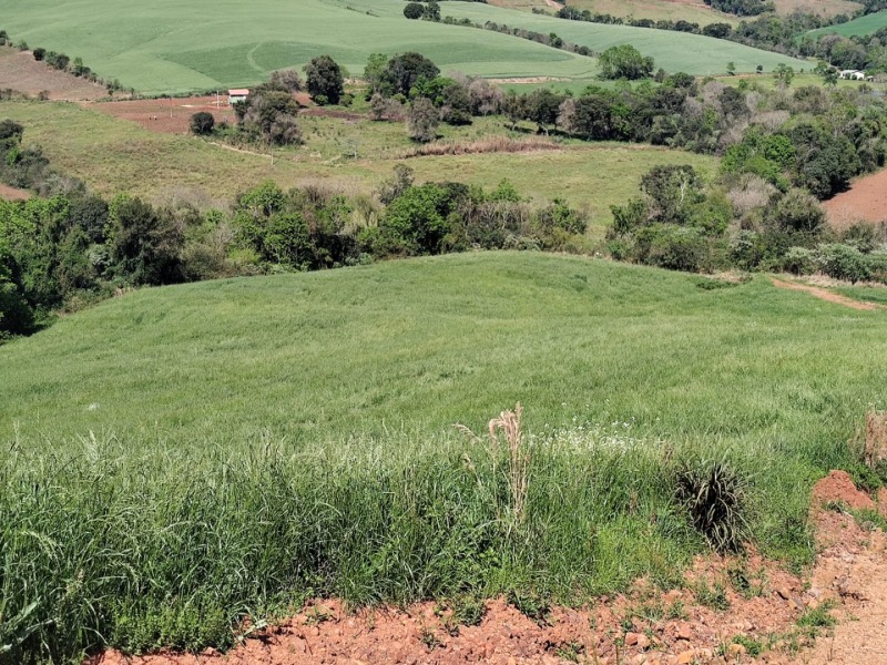 Lote 001-2 Fração de Terras com a Superfície de 27.000,00m², Situado na Linha Barreiro, Município de — foto 4