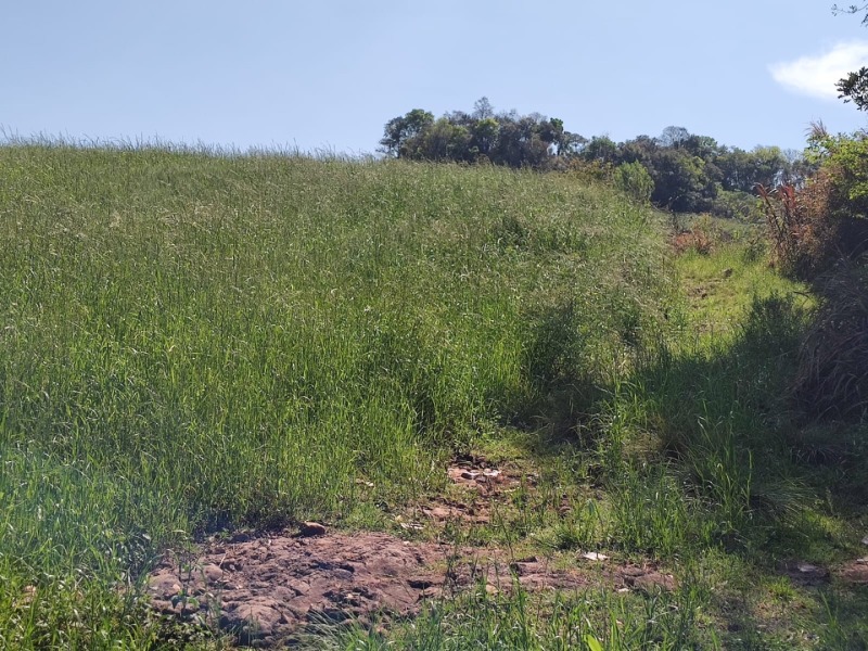 Lote 001-2 Fração de Terras com a Superfície de 27.000,00m², Situado na Linha Barreiro, Município de — foto 5