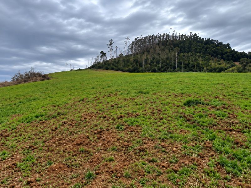 Terreno com 293.298,00 m² em São Valentin — foto 3