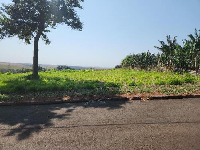 Imóvel - Mandaguaçu/PR — foto 2