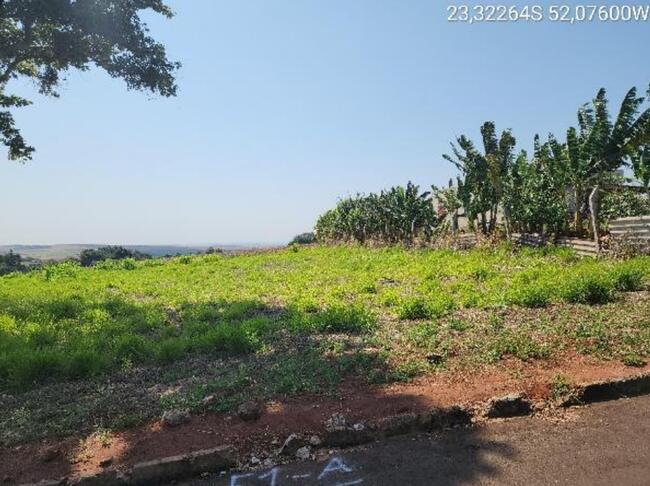 Imóvel - Mandaguaçu/PR — foto 4