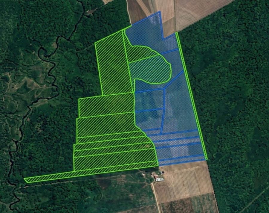 Fazenda Elo Verde com 2.200 HA Fazendas Elo Verde e Esmeralda