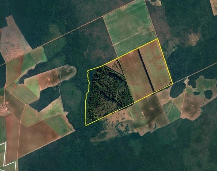 Fazenda Esmeralda com 1.020 HA Fazendas Elo Verde e Esmeralda