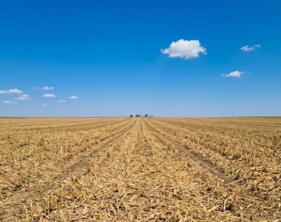 Fazenda Esmeralda com 1.020 HA Fazendas Elo Verde e Esmeralda — foto 3
