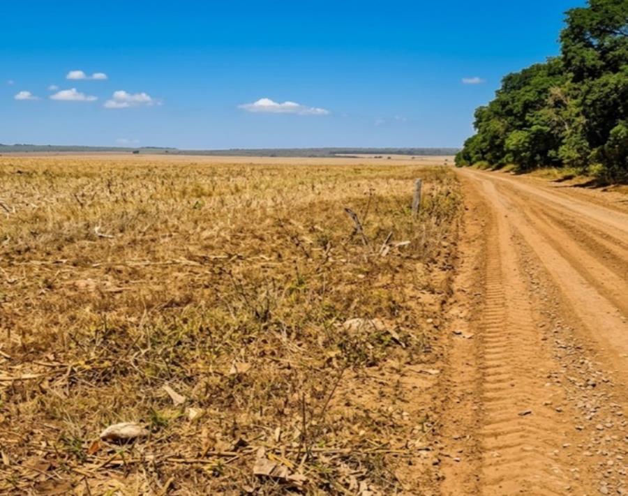 Fazenda Esmeralda com 1.020 HA Fazendas Elo Verde e Esmeralda — foto 4