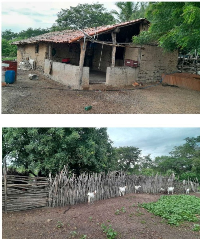 Lote 001 2991 Ha de Terras em São Miguel do Tapuio — foto 2