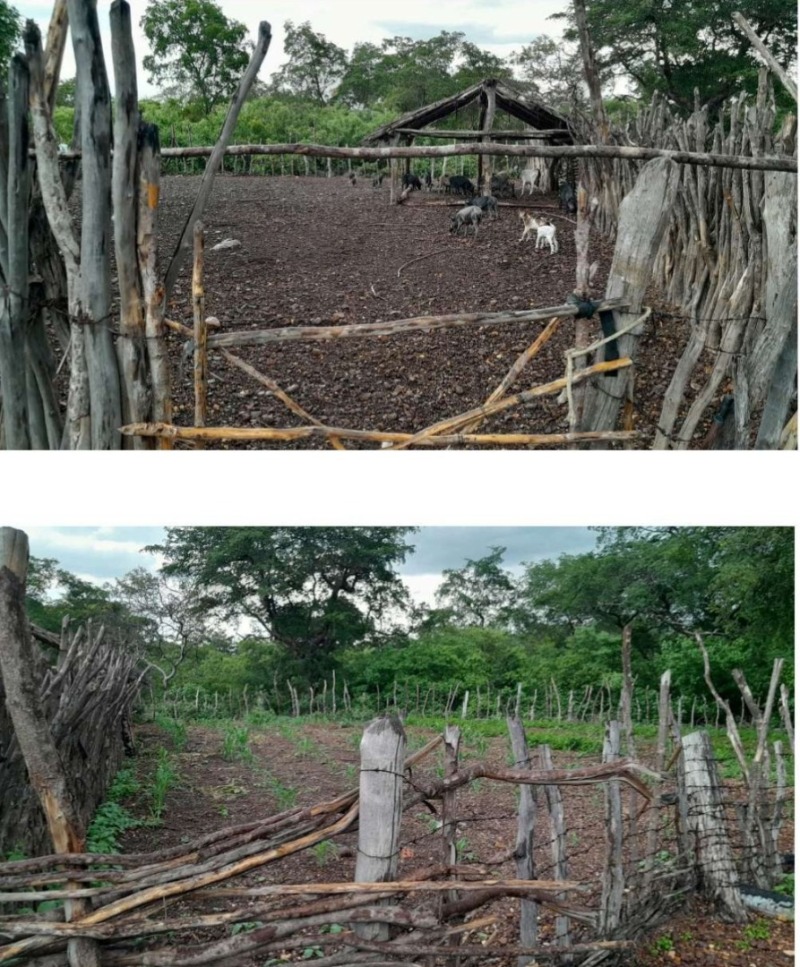 Lote 001 2991 Ha de Terras em São Miguel do Tapuio — foto 3