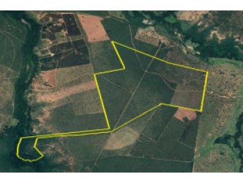 Leilão extrajudicial de Área Rural em Várzea da Palma/MG - Área Rural