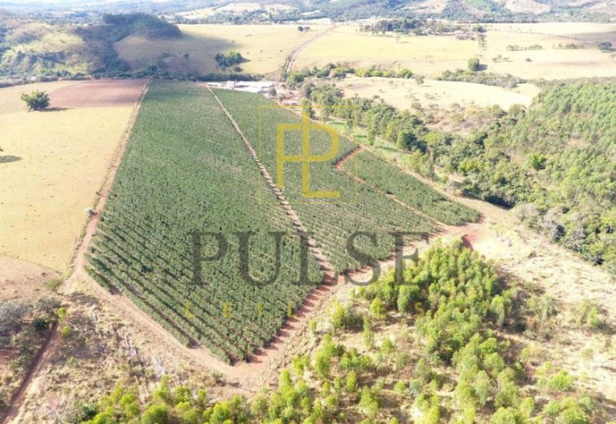 Piumhi(MG) - fazenda com 29,33,50 ha Piumhi (MG) - Imóveis — foto 3