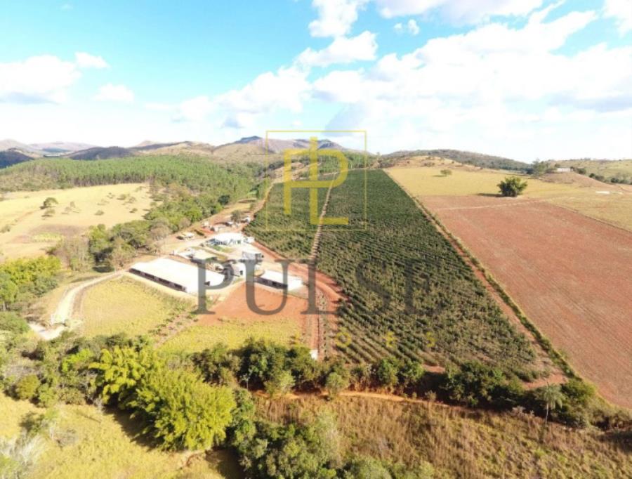 Piumhi(MG) - fazenda com 29,33,50 ha Piumhi (MG) - Imóveis — foto 4