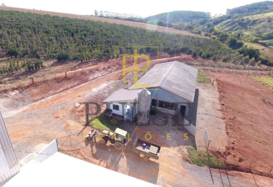 Piumhi(MG) - fazenda com 29,33,50 ha Piumhi (MG) - Imóveis — foto 5