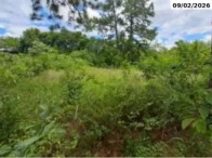 Terreno - 2.263,43m² - R. Voluntários da Pátria — foto 2