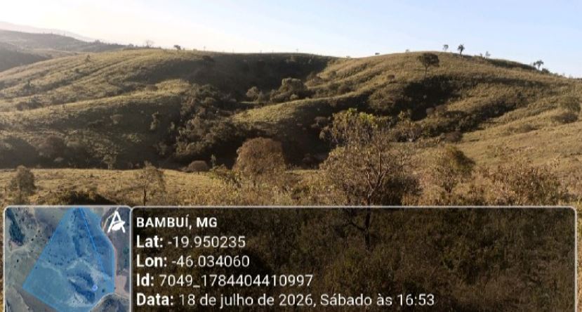 Bambui - MG. Zona Rural. Fazenda São Jorge. Áreas Totais. Terr. 21,88ha