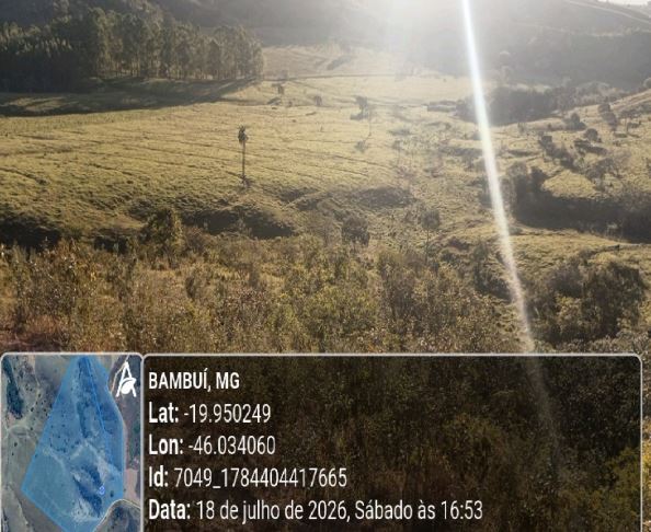 Bambui - MG. Zona Rural. Fazenda São Jorge. Áreas Totais. Terr. 21,88ha — foto 3