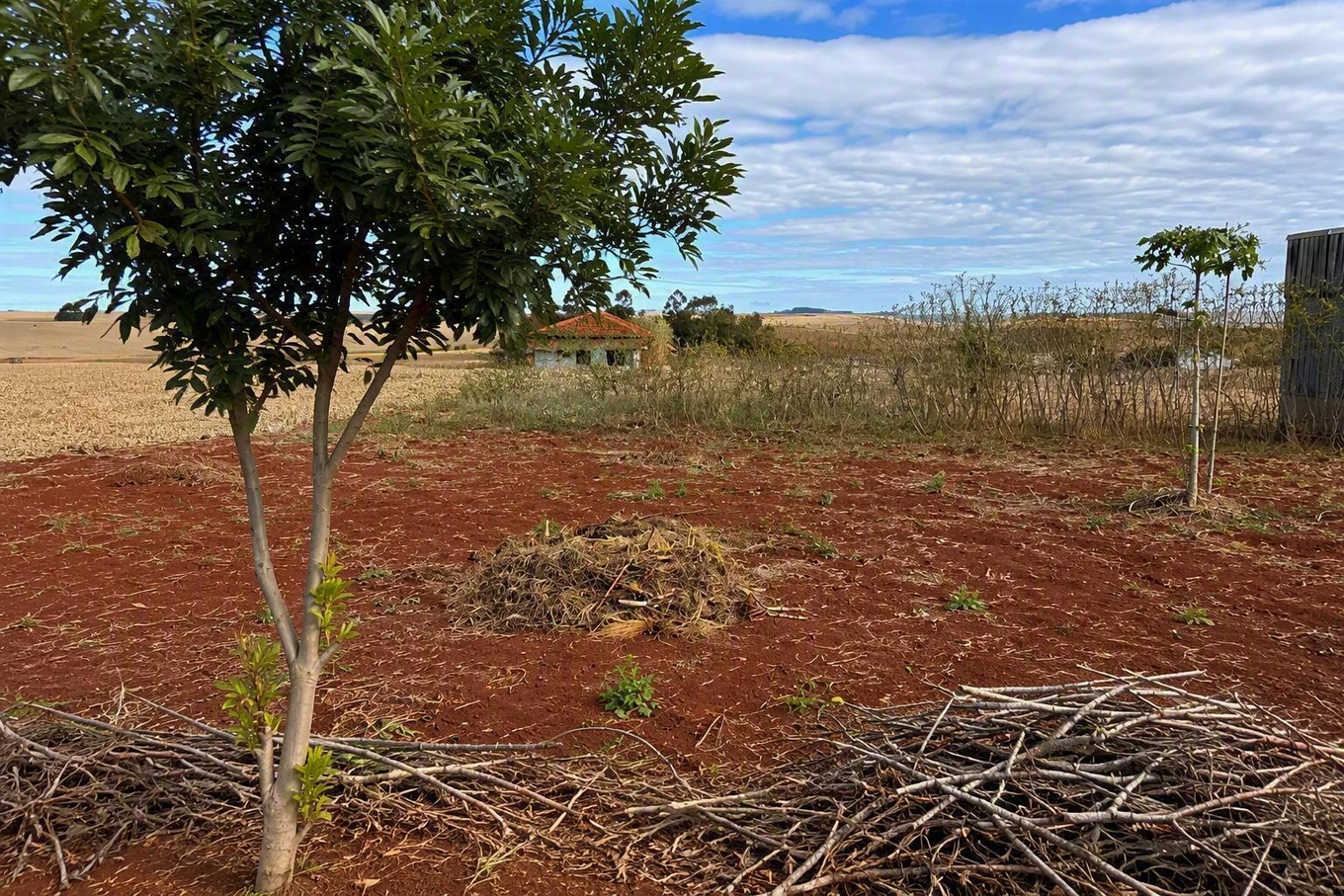 Imóvel Urbano com Área de 300m2, em Distrito de Bragantina- Assis Chateaubriand - PR — foto 3