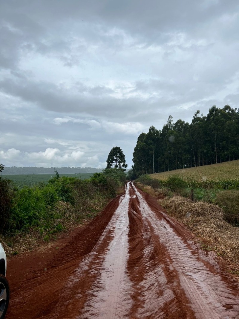 LOTE 001-1 Imóvel — foto 5