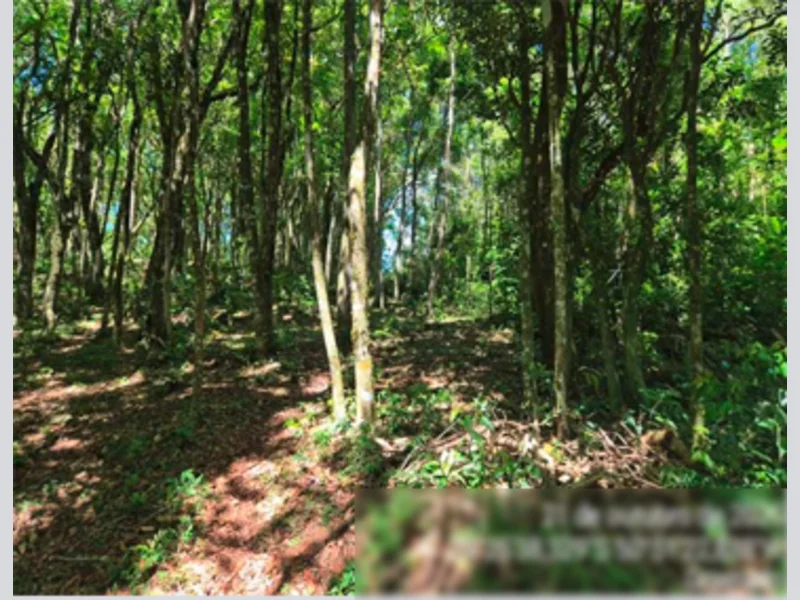 Gleba - Gramado - RS — foto 5