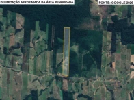 Sítio com 81,49 hectares - Vale do Anari/RO — foto 2